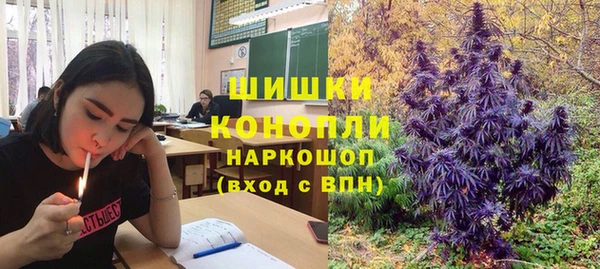 ПСИЛОЦИБИНОВЫЕ ГРИБЫ Балабаново