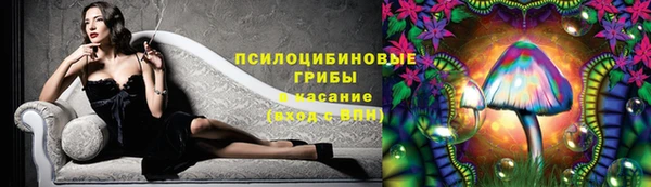 ПСИЛОЦИБИНОВЫЕ ГРИБЫ Балабаново