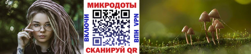 Псилоцибиновые грибы мицелий Белёв